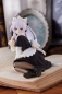 Preview: Wandering Witch: The Journey of Elaina Coreful PVC Statue Elaina Cat Maid Version (Taito Prize)