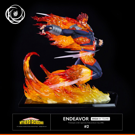 ENDEAVOR Ikigai by Tsume