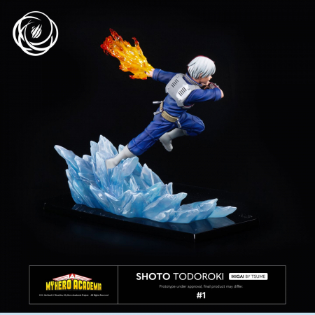 SHOTO TODOROKI Ikigai by Tsume