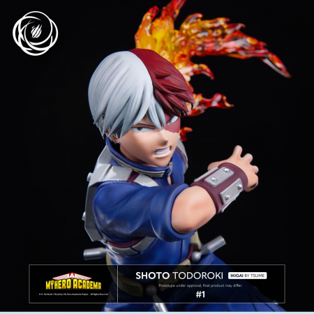 SHOTO TODOROKI Ikigai by Tsume