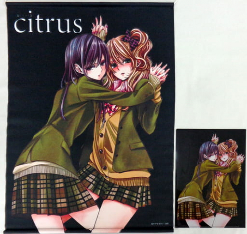 Citrus - Wall Scroll