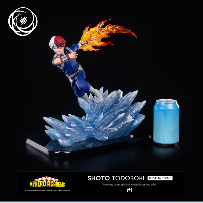 SHOTO TODOROKI Ikigai by Tsume