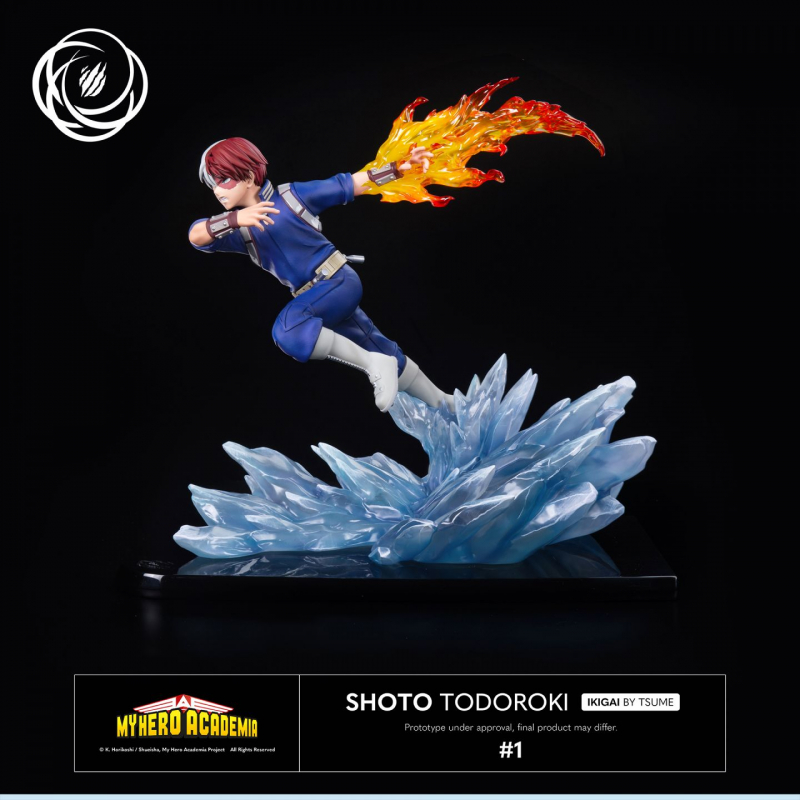 SHOTO TODOROKI Ikigai by Tsume